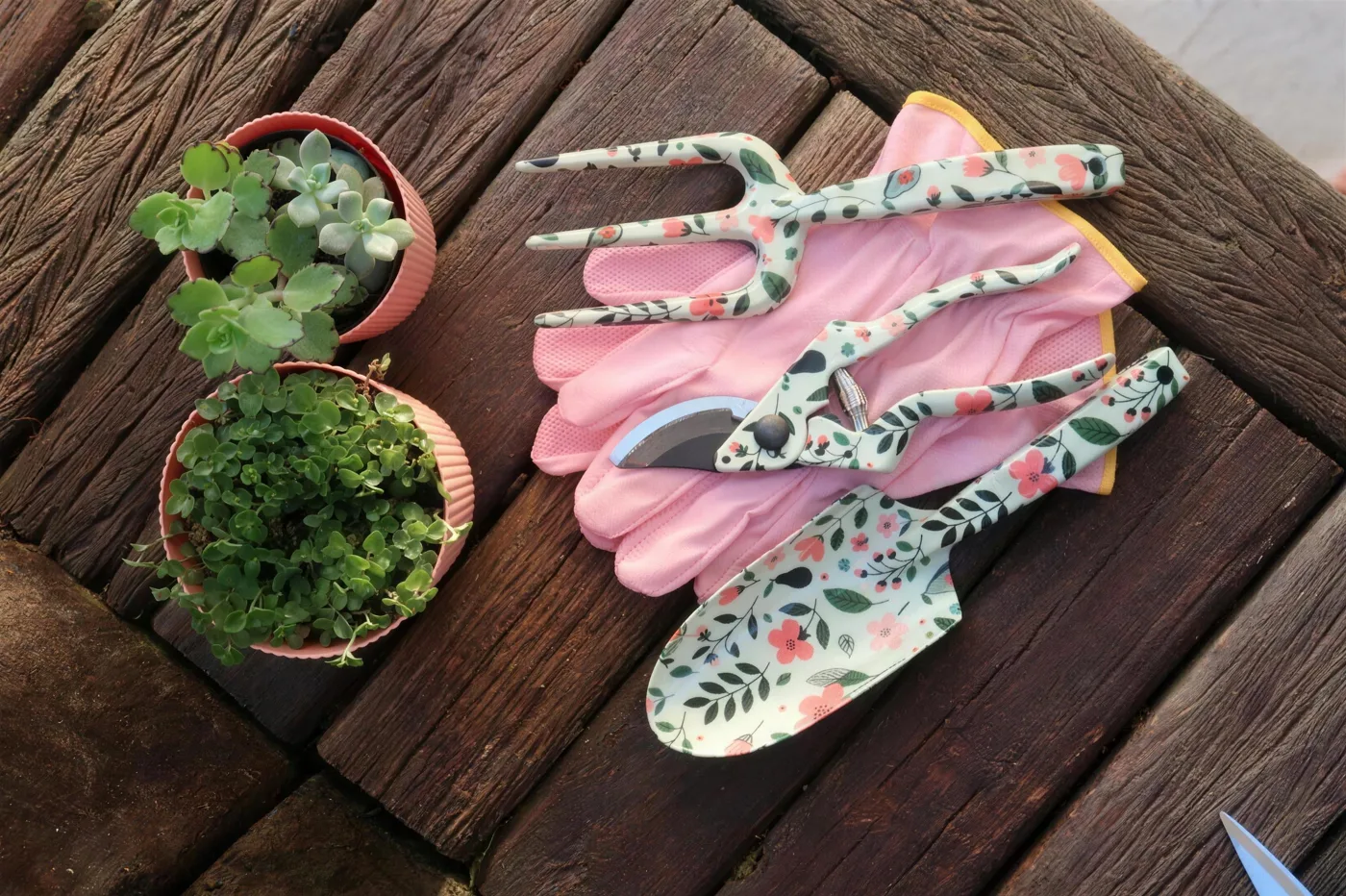 Kit de ferramentas de jardinagem com estampa floral sobre uma mesa de madeira, ao lado de mudas