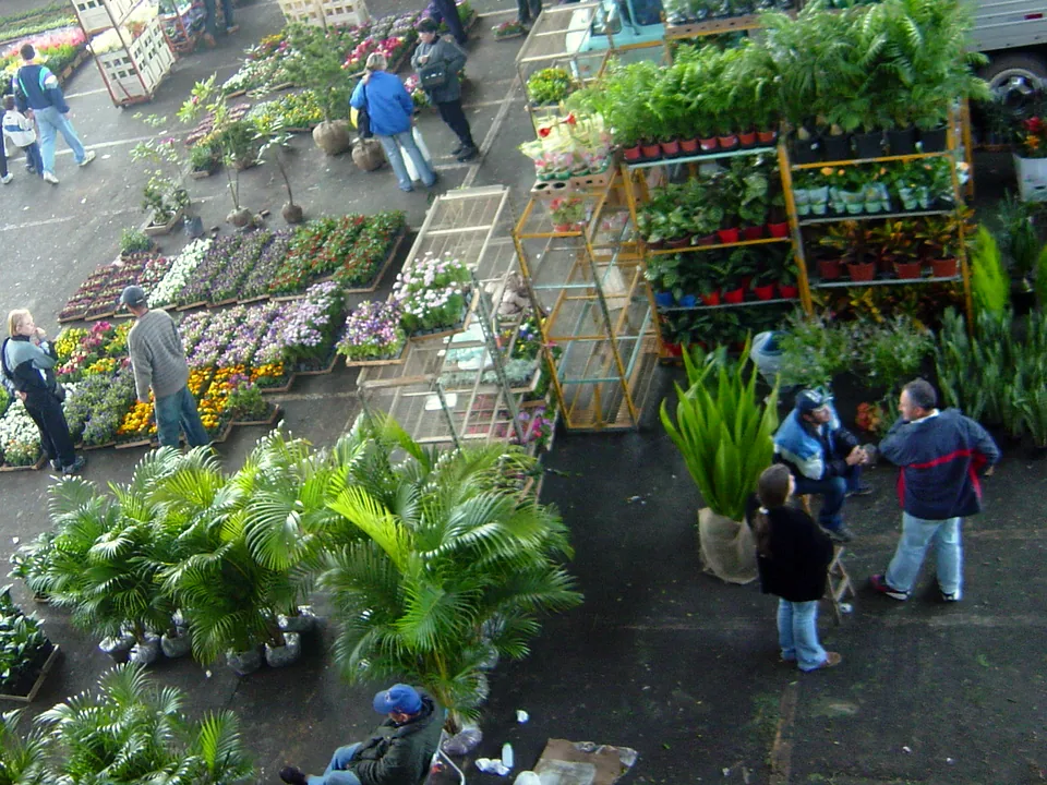Boxes com palmeiras, folhagens e canteiros de flores no mercado de flores do CEAGESP