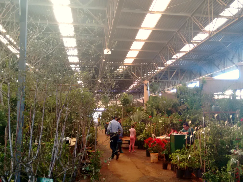 Corredor de plantas do Mercado das Flores do CEASA Campinas